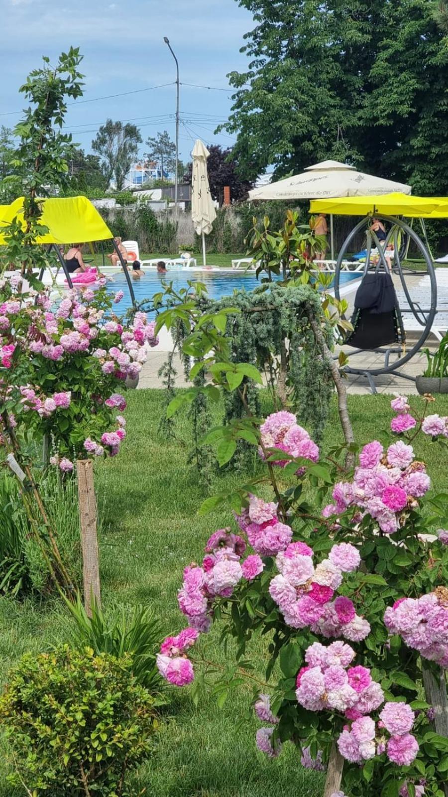 Hotel Iulia Resort Venus Exterior foto